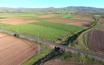 Stock Video Agricultural Crop Fields In The Valley For PC