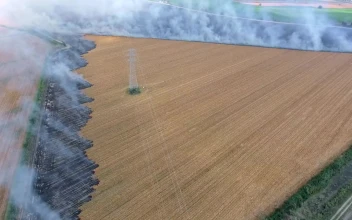 Stock Video Agricultural Burning Fields For PC