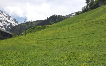 Stock Video A Wooden House In A Green Meadow For PC