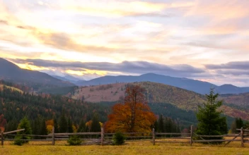 Stock Video A Wooden Fence In The Sunset Mountain For PC
