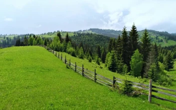 Stock Video A Wooden Fence From A Farm In The Woods For PC