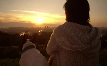 Stock Video A Woman With Her Dog Watching The Sunset For PC