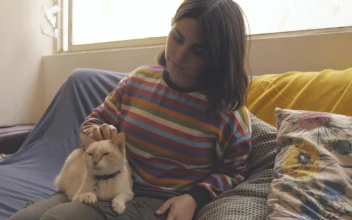 Stock Video A Woman Sits On A Couch And Pets A Cat For PC