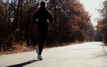 Stock Video A Woman Running On A Path In Autumn For PC