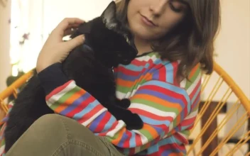 Stock Video A Woman Petting A Black Cat For PC