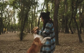 Stock Video A Woman Pets Her Dog In The Park For PC