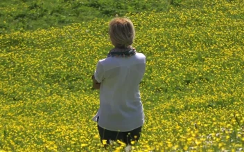 Stock Video A Woman Contemplates A Yellow Flower Field For PC