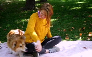 Stock Video A Woman And Her Dog Enjoying The Park For PC