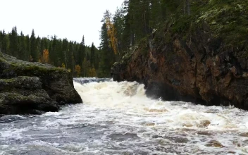 Stock Video A Wild River Between The Rocks For PC