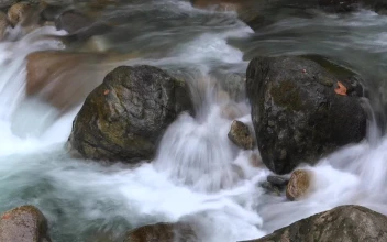 Stock Video A Stream Flows Between River Rocks For PC