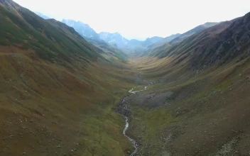 Stock Video A Small River At The Bottom Of The Valley For PC