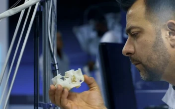 Stock Video A Scientist Studying  D Printed Skull For PC