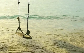 Stock Video A Rope Swing At The Beach For PC