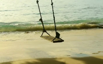 Stock Video A Rope Swing And The Beach Waves For PC