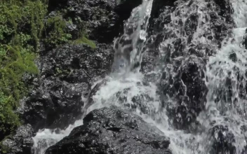 Stock Video A Rocky Waterfall In The Forest For PC