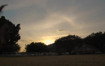 Stock Video A Rancher Riding A Horse At Sunset For PC