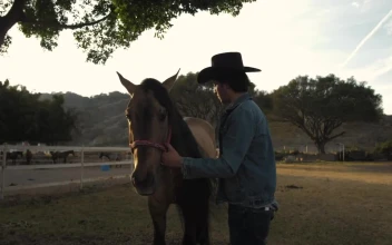Stock Video A Rancher Brushing Horses Hair For PC