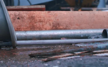 Stock Video A Puddle In A Place With Garbage For PC