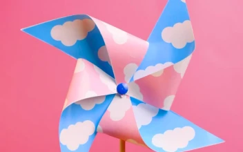 Stock Video A Pinwheel Spinning On A Pink Background For PC