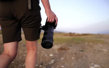 Stock Video A Photographer Walking In Nature For PC