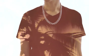 Stock Video A Person And The Silhouette Of A Palm Tree For PC