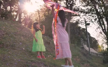 Stock Video A Mother Playing With Her Daughter On A Picnic Day For PC