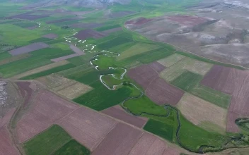 Stock Video A Meandering River Between The Agricultural Fields For PC