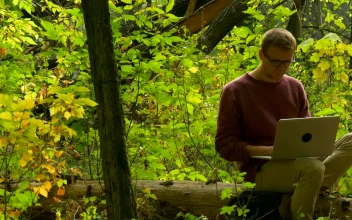 Stock Video A Man Sitting On A Log In The Forest Reading For PC