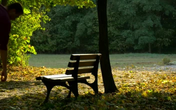 Stock Video A Man Sitting In A Park Bench For PC
