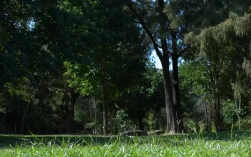 Stock Video A Man Riding His Bicycle At The Park For PC