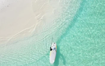 Stock Video A Man Paddling On A Board Near The Seashore For PC