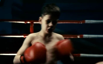 Stock Video A Little Kid Training Boxing On The Ring For PC