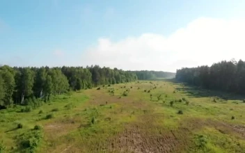 Stock Video A Large Valley Surrounded By Forest  Smal For PC