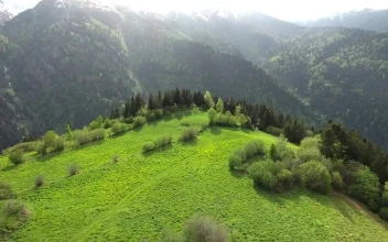 Stock Video A Green Valley In The Top Of A Mountain For PC