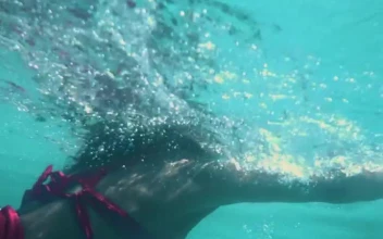 Stock Video A Girl Swimming In A Pool Seen From Underwater For PC
