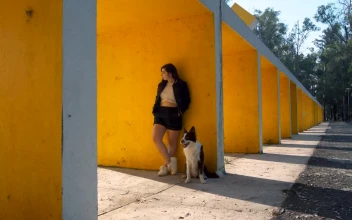 Stock Video A Girl And A Dog Standing In Front Of A For PC