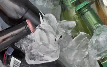 Stock Video Mixkit Beers Inside A Large Ice Chest  Smal For PC