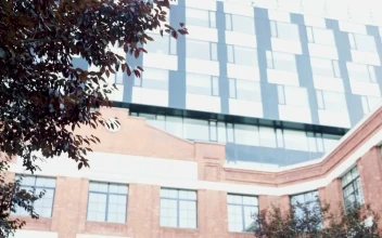 Stock Video Business Leader Sits Outside City Office On Mobile For PC