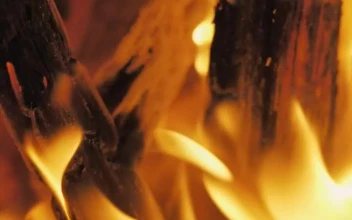 Stock Video Burning Wood For PC