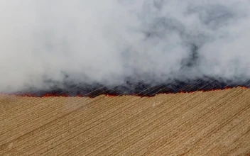 Stock Video Burning Of Agricultural Fields For PC