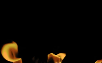 Stock Video Burning Flames On A Black Background For PC