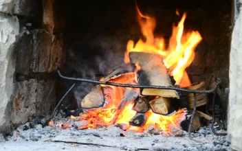 Stock Video Burning Firewood For PC