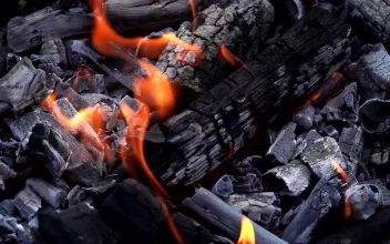 Stock Video Burning Ash Covered Coal For PC