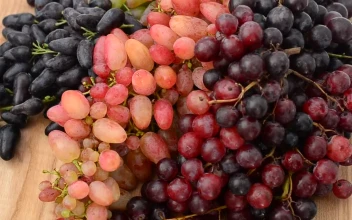 Stock Video Bunches Of Grapes Of Different Types For PC