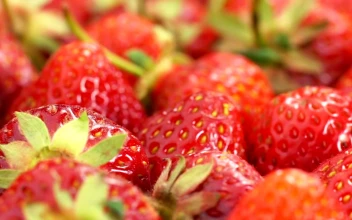 Stock Video Bunch Of Strawberries Rotating For PC
