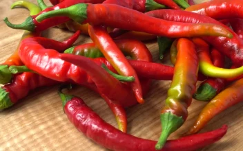 Stock Video Bunch Of Red Chili Peppers For PC