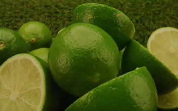 Stock Video Bunch Of Lemons Slowly Rotating For PC