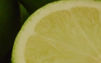 Stock Video Bunch Of Lemons Slowly Rotating 4294 For PC