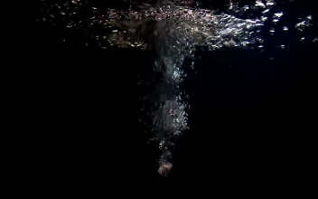 Stock Video Bubbles Underwater In A Black Tank For PC