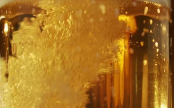 Stock Video Bubbles Rising In A Beer Glass For PC
